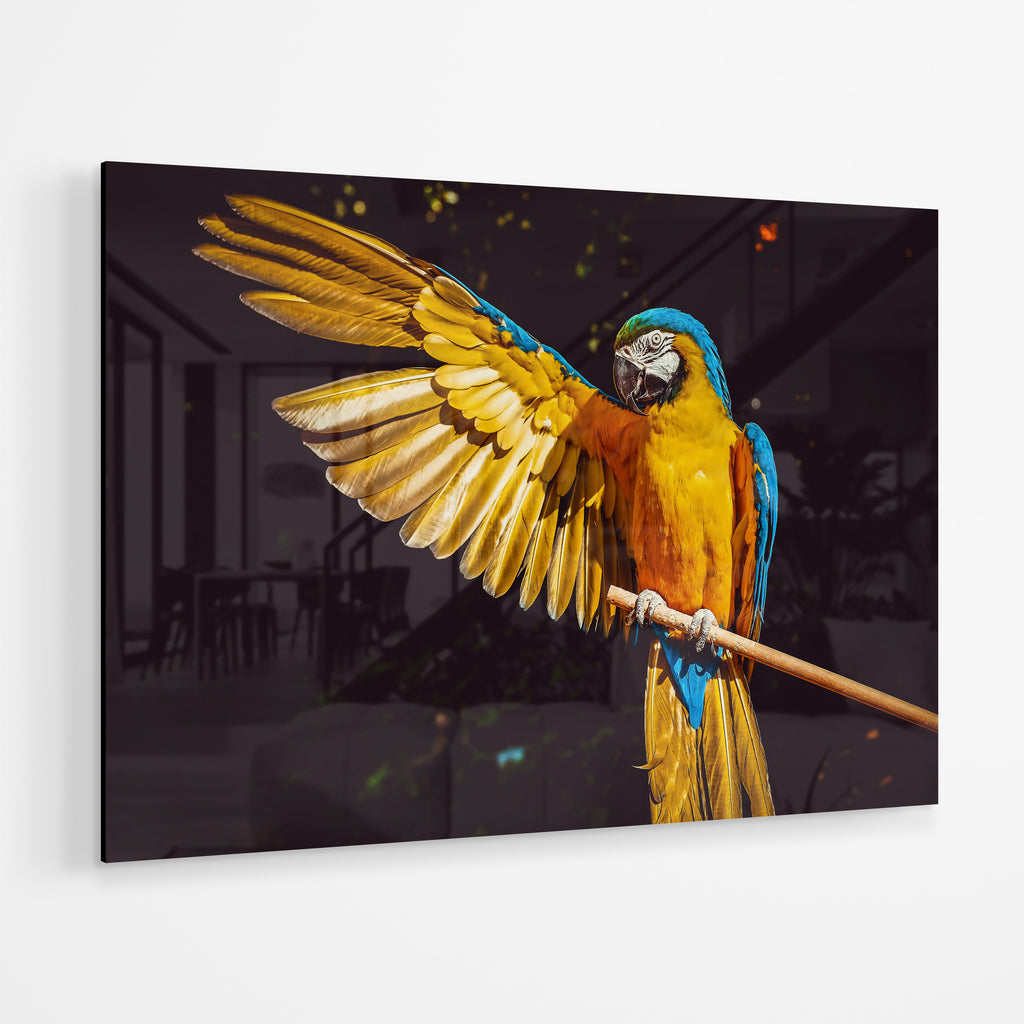 Parrot - Wing